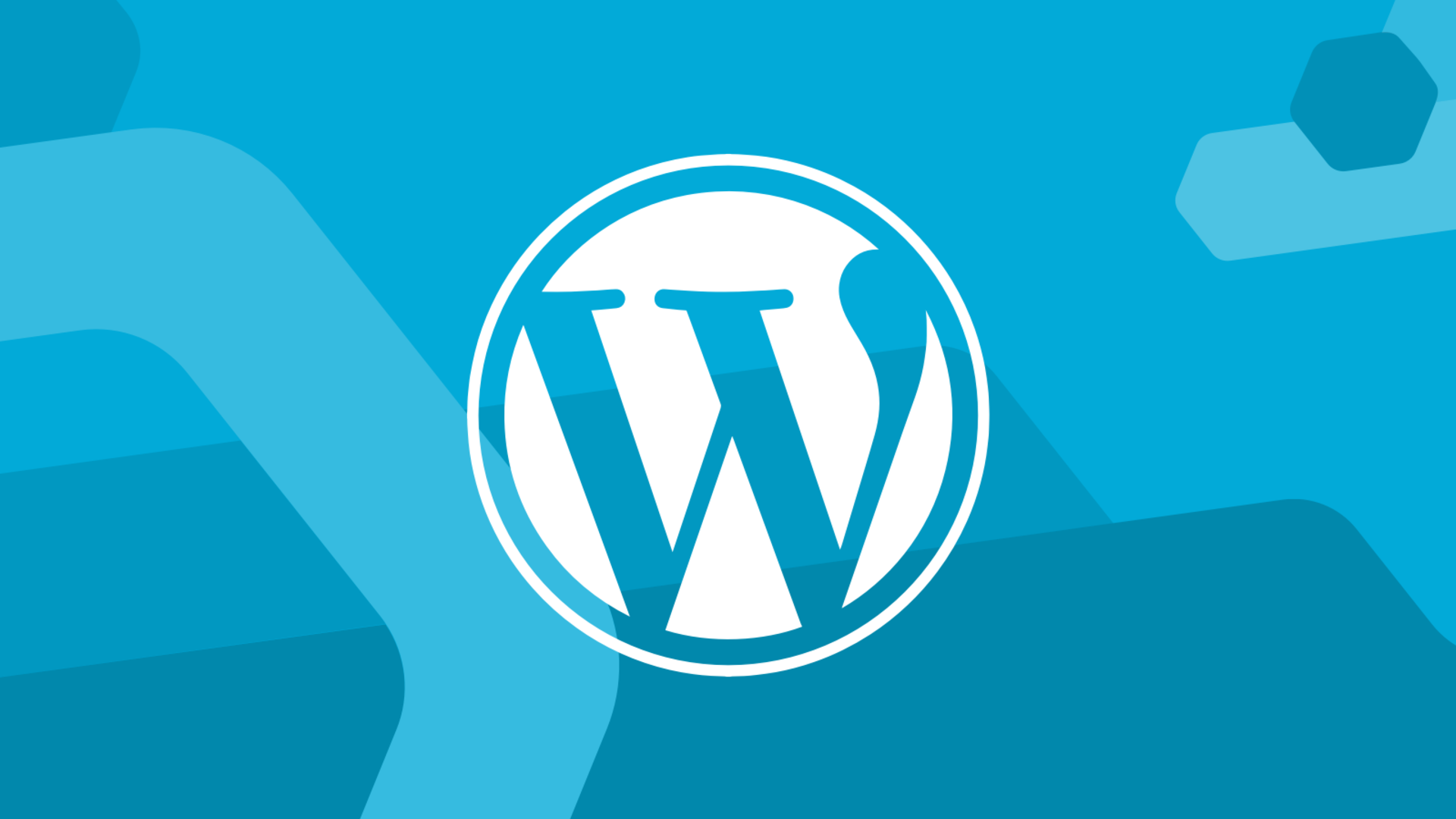WordPress Nasıl Kurulur? 2025 Güncel Adım Adım WordPress Kurulum Rehberi