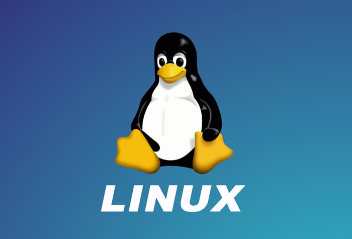 Linux Versiyonunu ve İşletim Sistemi Bilgilerini Öğrenme