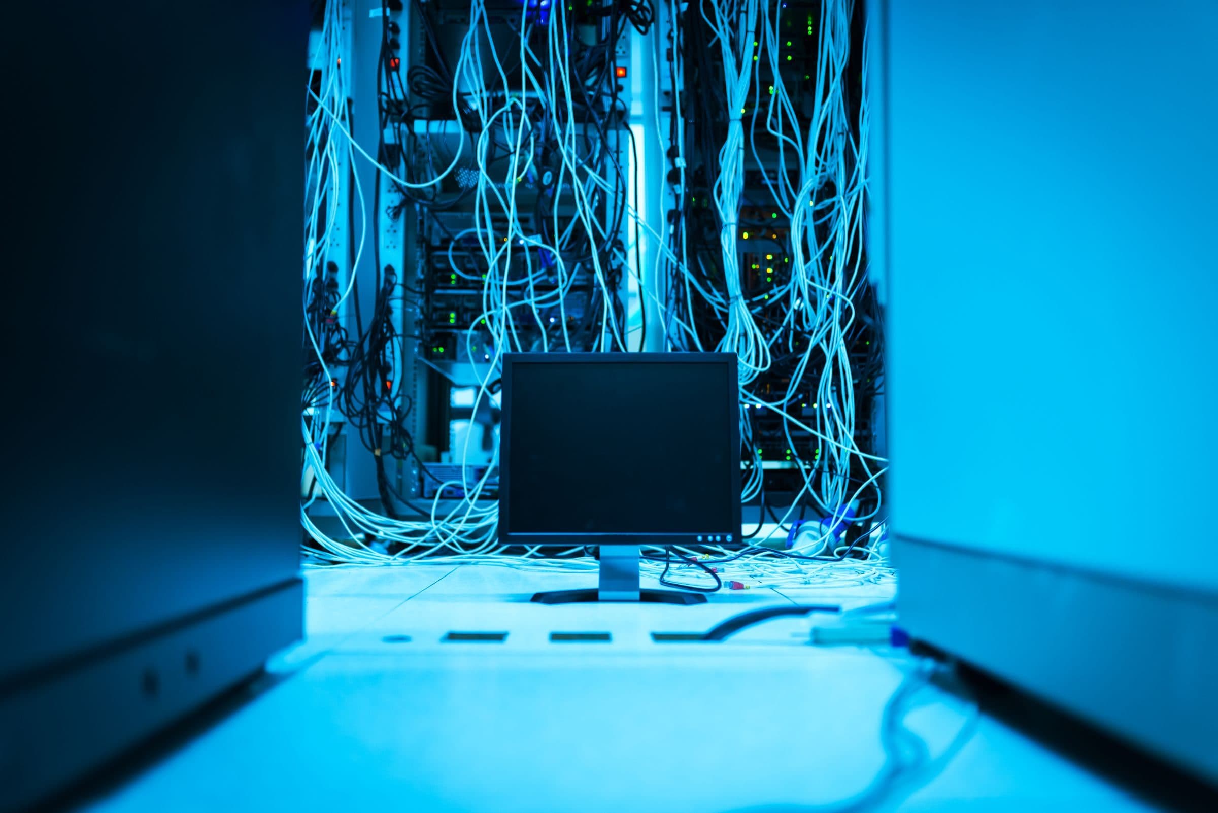Hosting & Sunucu
