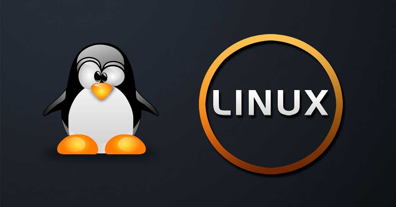 Linux Versiyonunu ve İşletim Sistemi Bilgilerini Öğrenme