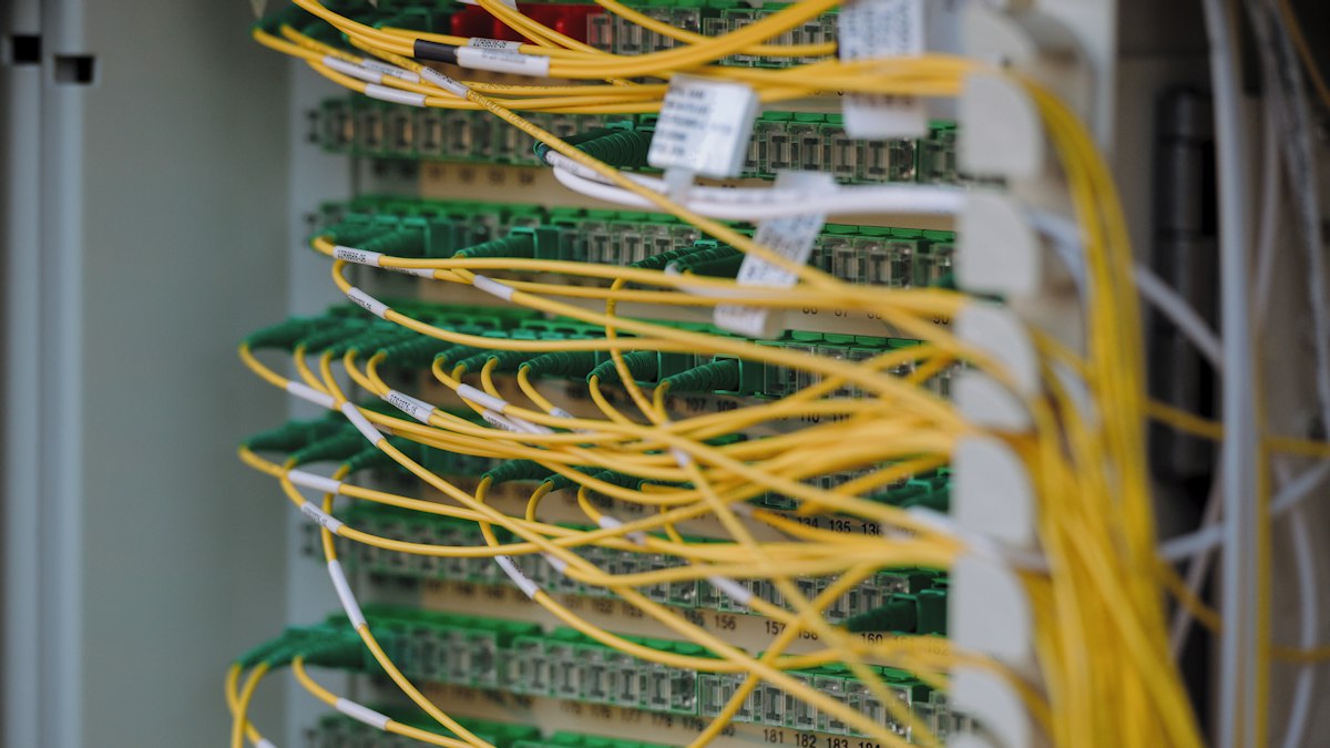 Sunucu dolabında ağ kabloları (server rack network cables)