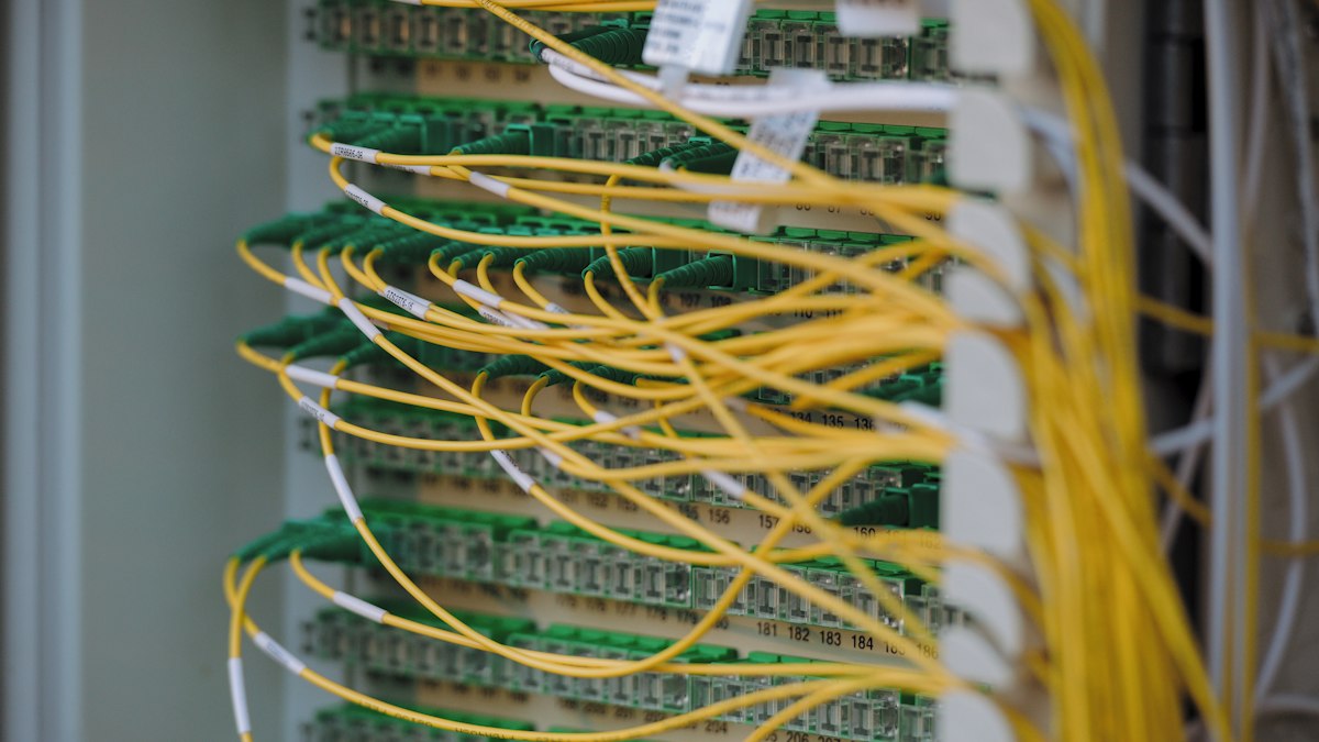 Düzenli bağlanmış ağ kabloları (Network cables in a server rack)